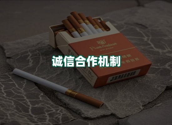 核心优势